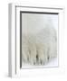 Polar Bear (Ursus Maritimus), Churchill, Hudson Bay, Manitoba, Canada-Thorsten Milse-Framed Photographic Print