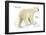 Polar Bear (Ursus Maritimus), Mammals-Encyclopaedia Britannica-Framed Poster