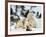 Polar Bear (Ursus Maritimus) Mother with Triplets, Wapusk National Park, Churchill, Manitoba-Thorsten Milse-Framed Photographic Print