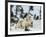 Polar Bear (Ursus Maritimus) Mother with Triplets, Wapusk National Park, Churchill, Manitoba-Thorsten Milse-Framed Photographic Print