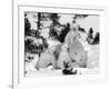 Polar Bear (Ursus Maritimus) Mother with Triplets, Wapusk National Park, Churchill, Manitoba-Thorsten Milse-Framed Photographic Print