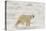 Polar bear (Ursus maritimus), Polar Ice Cap, north of Spitsbergen, Norway.-Sergio Pitamitz-Stretched Canvas