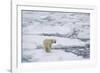 Polar bear (Ursus maritimus), Polar Ice Cap, north of Spitsbergen, Norway.-Sergio Pitamitz-Framed Photographic Print