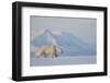 Polar bear (Ursus maritimus) walking in snow, Svalbard, Norway, April-Danny Green-Framed Photographic Print