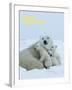 Polar Bear (Ursus Maritimus)-Thorsten Milse-Framed Art Print