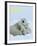 Polar Bear (Ursus Maritimus)-Thorsten Milse-Framed Art Print