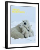 Polar Bear (Ursus Maritimus)-Thorsten Milse-Framed Art Print