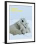 Polar Bear (Ursus Maritimus)-Thorsten Milse-Framed Art Print