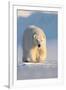 Polar bear walking across ice and snow in evening sun, Svalbard-Danny Green-Framed Photographic Print