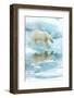 Polar bear walking across sea ice, reflected in water, Norway-Danny Green-Framed Photographic Print