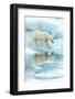 Polar bear walking across sea ice, reflected in water, Norway-Danny Green-Framed Photographic Print
