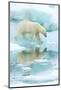 Polar bear walking across sea ice, reflected in water, Norway-Danny Green-Mounted Photographic Print