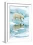 Polar bear walking across sea ice, reflected in water, Norway-Danny Green-Framed Photographic Print