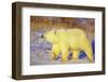 Polar Bear Walking, Churchill, Manitoba, Canada-Richard and Susan Day-Framed Photographic Print