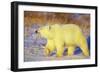 Polar Bear Walking, Churchill, Manitoba, Canada-Richard and Susan Day-Framed Photographic Print