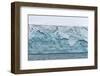 Polar bear walking on Champ Island glacier, Franz Josef Land, Russian Arctic-Sergey Gorshkov-Framed Premium Photographic Print