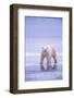 Polar Bear Walking on Ice-DLILLC-Framed Photographic Print