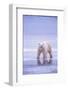 Polar Bear Walking on Ice-DLILLC-Framed Photographic Print