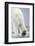 Polar Bear Walking on Pack Ice-Paul Souders-Framed Photographic Print