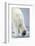 Polar Bear Walking on Pack Ice-Paul Souders-Framed Photographic Print