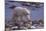 Polar Bear Walking on Rocks-DLILLC-Mounted Photographic Print