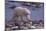 Polar Bear Walking on Rocks-DLILLC-Mounted Photographic Print