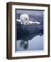 Polar Bear walking on rocky shoreline-Paul Souders-Framed Photographic Print