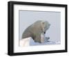 Polar Bear with a Cub, (Ursus Maritimus), Churchill, Manitoba, Canada-Thorsten Milse-Framed Photographic Print