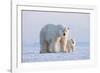 Polar bear with cub standing on ice, Svalbard, Norway-Danny Green-Framed Photographic Print