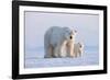 Polar bear with cub standing on ice, Svalbard, Norway-Danny Green-Framed Photographic Print