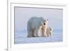 Polar bear with cub standing on ice, Svalbard, Norway-Danny Green-Framed Photographic Print