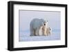 Polar bear with cub standing on ice, Svalbard, Norway-Danny Green-Framed Photographic Print