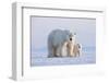Polar bear with cub standing on ice, Svalbard, Norway-Danny Green-Framed Photographic Print