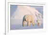 Polar bear with cub walking across ice, Svalbard, Norway-Danny Green-Framed Photographic Print