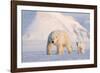 Polar bear with cub walking across ice, Svalbard, Norway-Danny Green-Framed Photographic Print