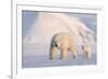 Polar bear with cub walking across ice, Svalbard, Norway-Danny Green-Framed Photographic Print