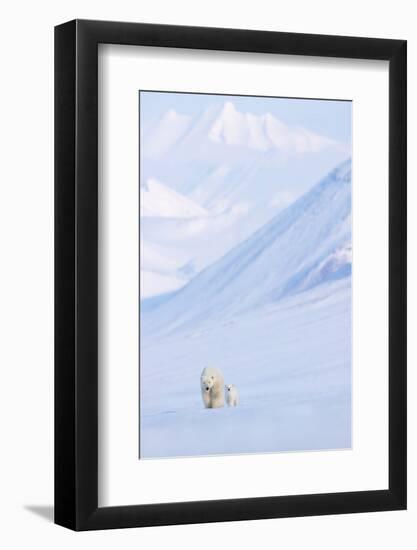 Polar bear with cub walking with mountains in background-Danny Green-Framed Photographic Print