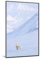 Polar bear with cub walking with mountains in background-Danny Green-Mounted Photographic Print