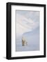 Polar bear with cub walking with mountains in background-Danny Green-Framed Photographic Print