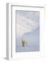 Polar bear with cub walking with mountains in background-Danny Green-Framed Photographic Print