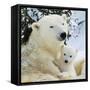 Polar Bear with Cub-null-Framed Stretched Canvas