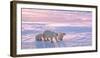 Polar Bear with Cubs in Canadian Arctic-outdoorsman-Framed Photographic Print