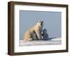 Polar Bear with Cubs, (Ursus Maritimus), Churchill, Manitoba, Canada-Thorsten Milse-Framed Photographic Print