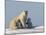 Polar Bear with Cubs, (Ursus Maritimus), Churchill, Manitoba, Canada-Thorsten Milse-Mounted Photographic Print