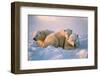 Polar Bear with Her Cubs-outdoorsman-Framed Photographic Print