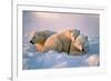 Polar Bear with Her Cubs-outdoorsman-Framed Photographic Print
