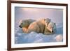 Polar Bear with Her Cubs-outdoorsman-Framed Photographic Print