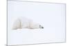 Polar bear with snow encrusted fur, sleeping in snow, Canada-Danny Green-Mounted Photographic Print