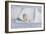 Polar Bear with Spring Cub, ANWR, Alaska, USA-Steve Kazlowski-Framed Photographic Print