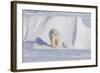 Polar Bear with Spring Cub, ANWR, Alaska, USA-Steve Kazlowski-Framed Photographic Print